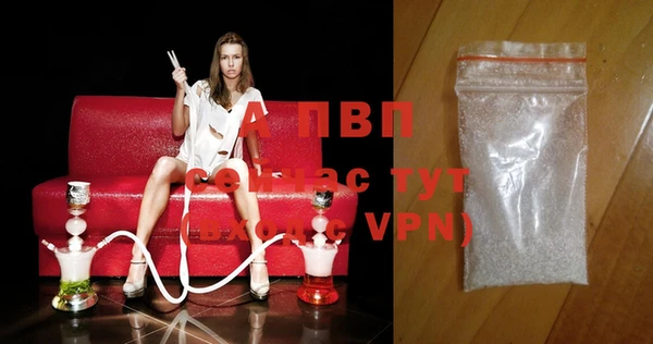 стафф Сосновый Бор