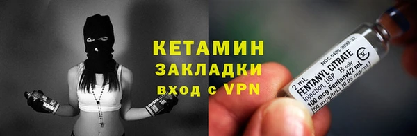 шишки Дедовск