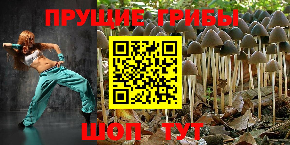 Галлюциногенные грибы MAGIC MUSHROOMS  Галлюциногенные грибы MAGIC MUSHROOMS  Вход с VPN  Москва 